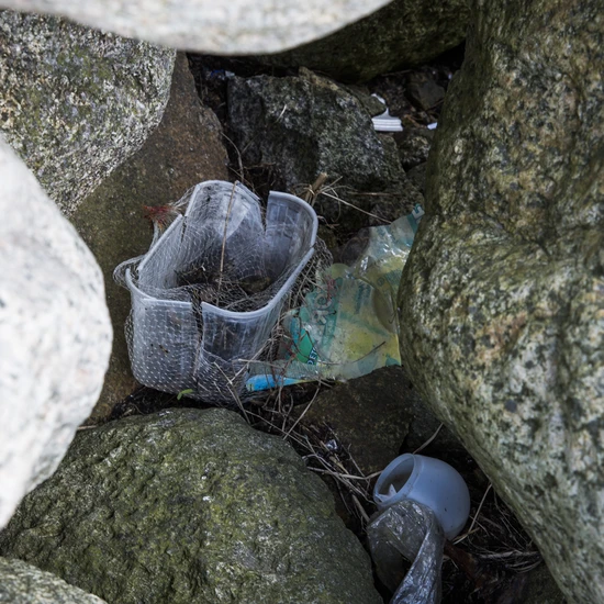 Plast i klippskreva. Foto: Jenny Brandt
