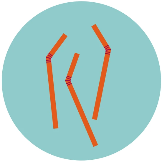 Illustration av sugrör