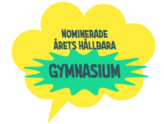 gymnasium