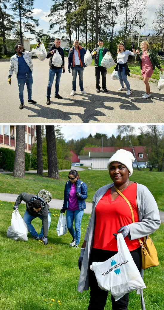 Språkplock Kompis Sverige