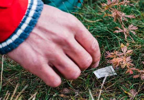 En snus plockas upp i naturen. Foto: Darren Hamlin 