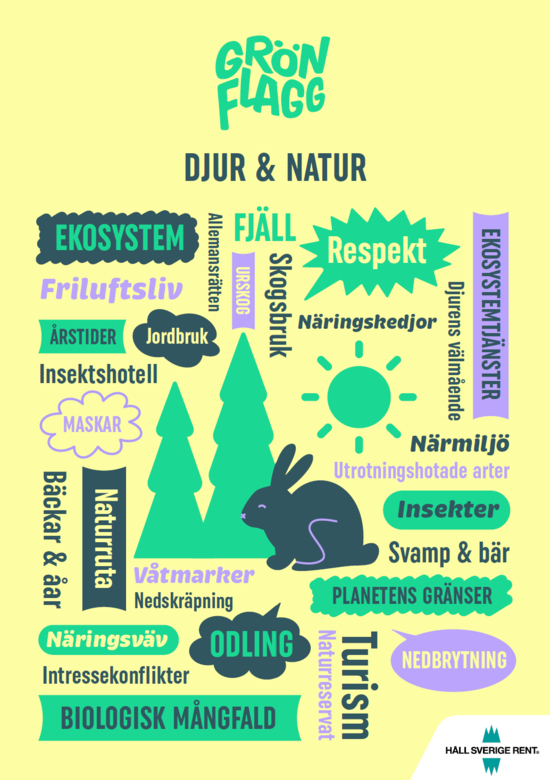 djur och natur