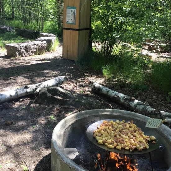 Backsippans förskola i skogen