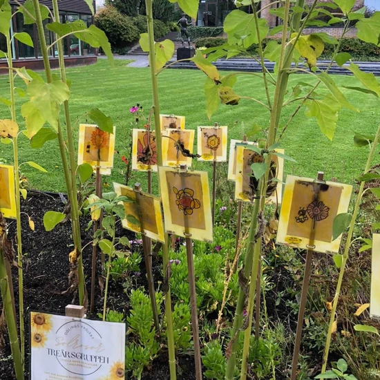 Stella Nova förskola odlar