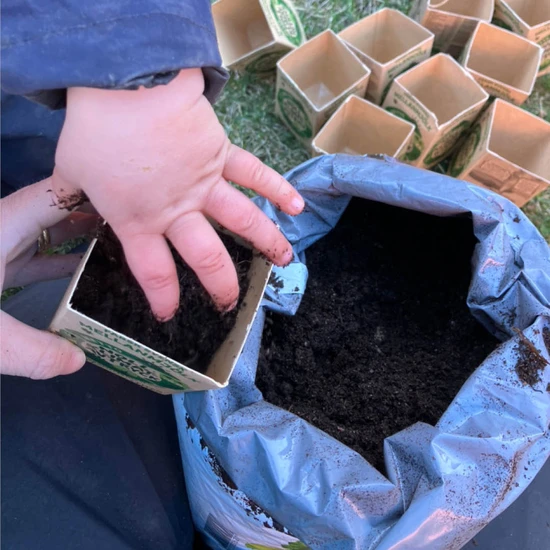 Förskolan ugglan planterar