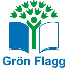 grön flagg