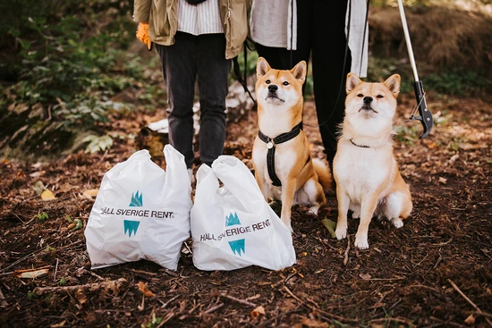 Hela Sverige plockar skräp