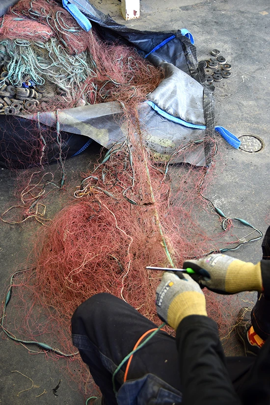 Rensar fiskenät sotenäs