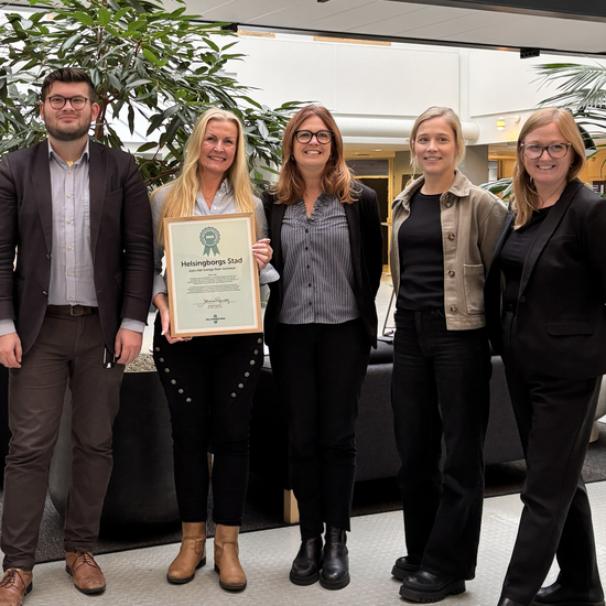 Helsingborgs stad representanter