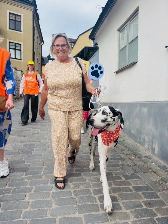 Deltagare hundpromenad
