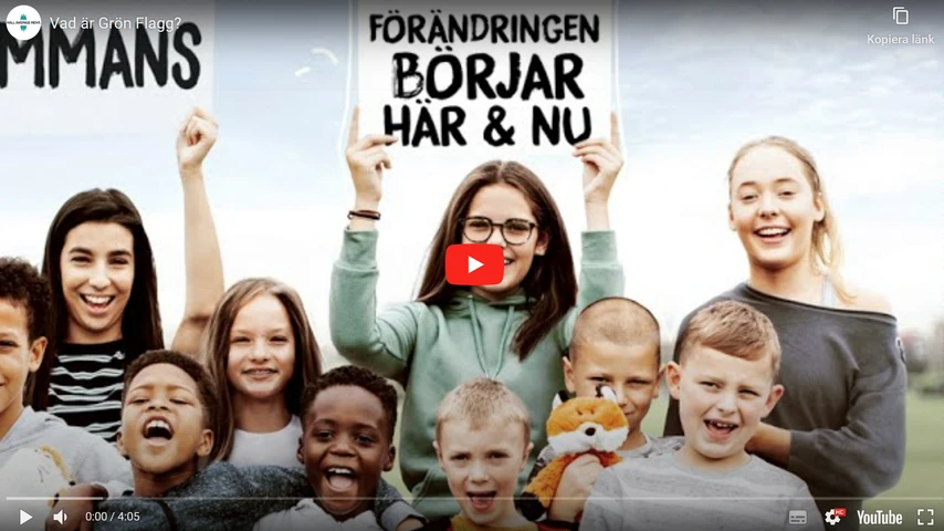 Bild från Youtube-videon "Vad är Grön Flagg?"
